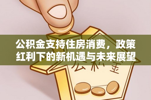 陕西公积金支持住房消费，政策红利下的新机遇与未来展望