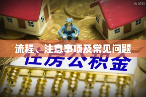陕西流程、注意事项及常见问题